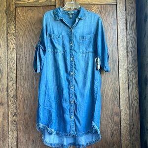Chelsea and Theodore Denim Dress 1X